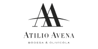 Atilio Avena